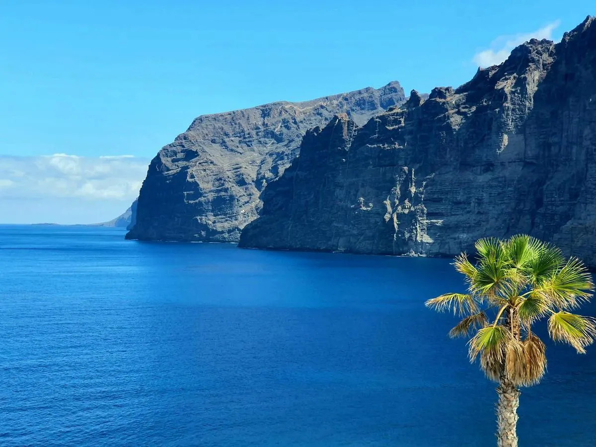 Daire Luis Estudio Adeje Tenerife Sur By Hrtenerife Net Costa Adeje