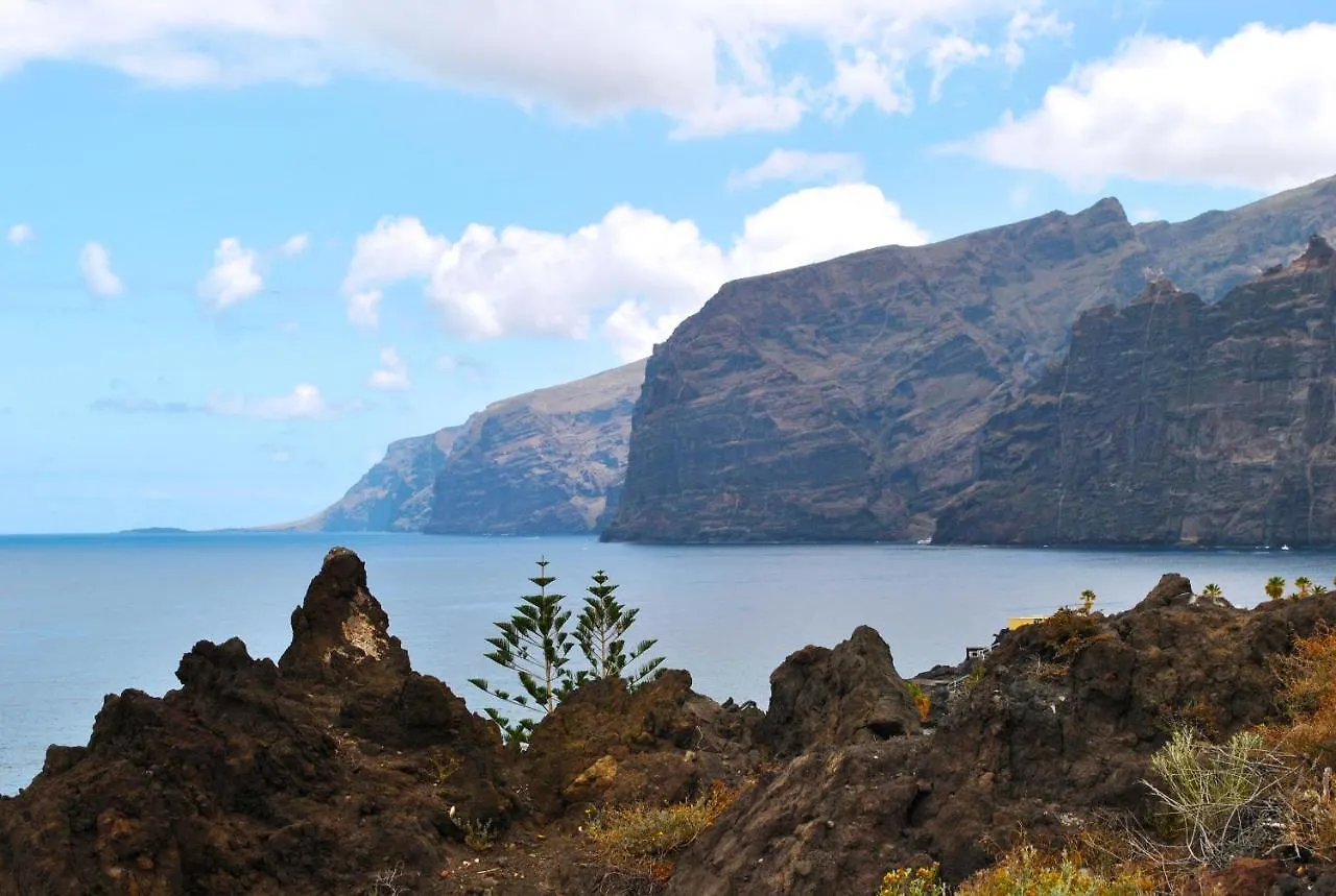 Daire Luis Estudio Adeje Tenerife Sur By Hrtenerife Net Costa Adeje