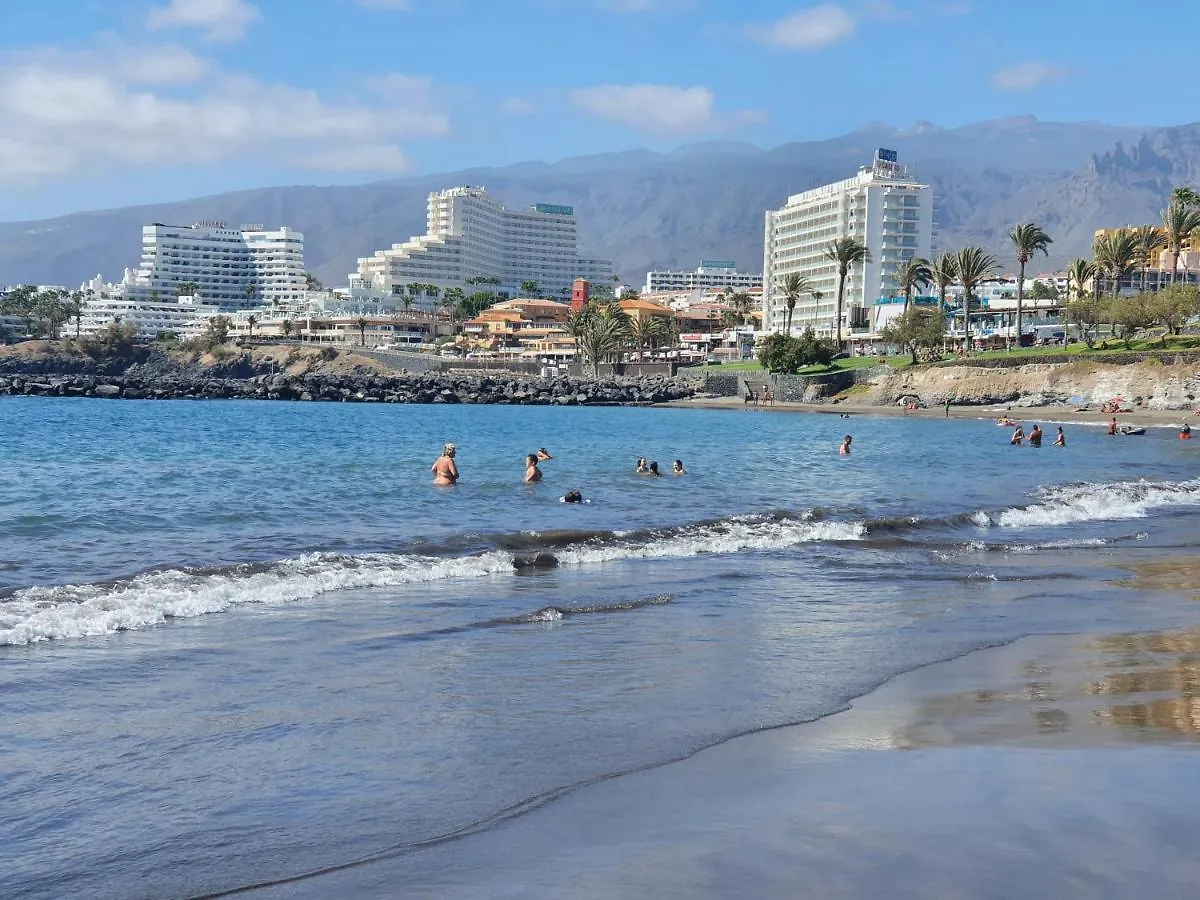 Daire Luis Estudio Adeje Tenerife Sur By Hrtenerife Net Costa Adeje