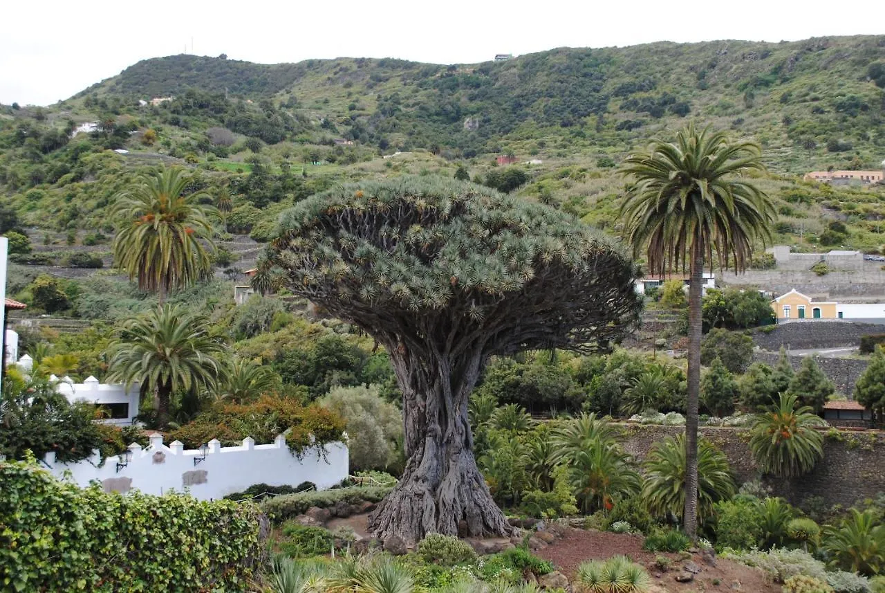 Luis Estudio Adeje Tenerife Sur By Hrtenerife Net Costa Adeje 0*,